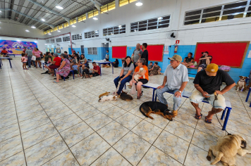 Prefeitura de Itapetininga inicia Mutirão de Castração no Distrito do Rechã