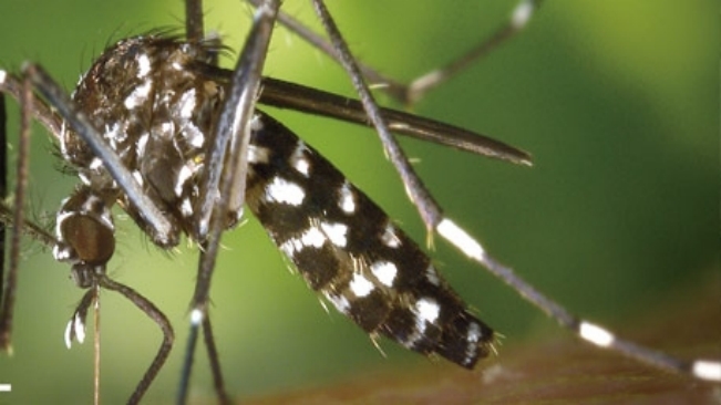 Itapetininga consegue fazer trabalho exemplar contra a dengue