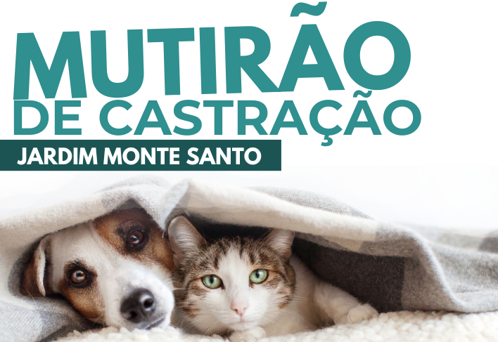 Jardim Monte Santo recebe Mutirão de Castração neste sábado (22) e domingo (23)