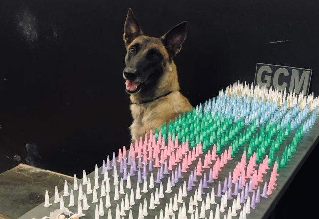 Guarda Municipal de Itapetininga localiza mais de 550 porções de drogas no Taboãozinho