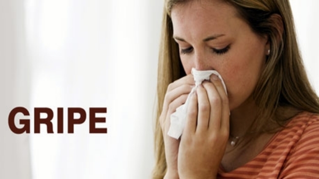 Vacinação contra a Gripe chega a mais de 23 mil pessoas