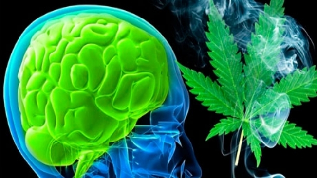 GUARDA MUNICIPAL FAZ PALESTRA PARA ALUNOS DE ESCOLA