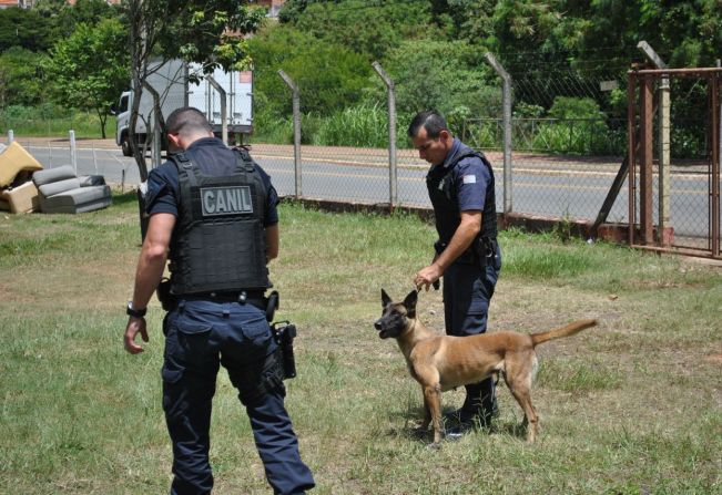 Guarda Municipal de Itapetininga faz demonstração com cão treinado e realiza palestra para crianças do Programa Bombeiros Voluntários Mirins