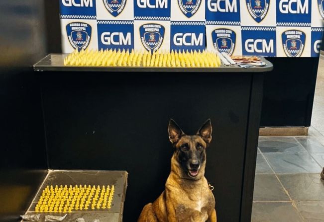 Suspeito é preso pela Guarda Municipal de Itapetininga com mais de 850 porções de entorpecentes no Jardim Bela Vista