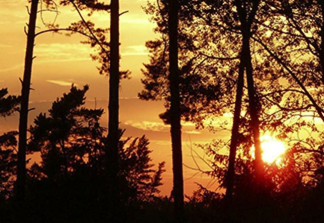 Meio Ambiente realiza reunião com CPFL Energia